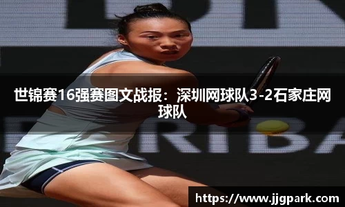 凤凰联盟首页官网